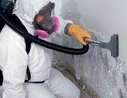 Why You Should Choose Our Mold Remediation Services in Lockeford, CA